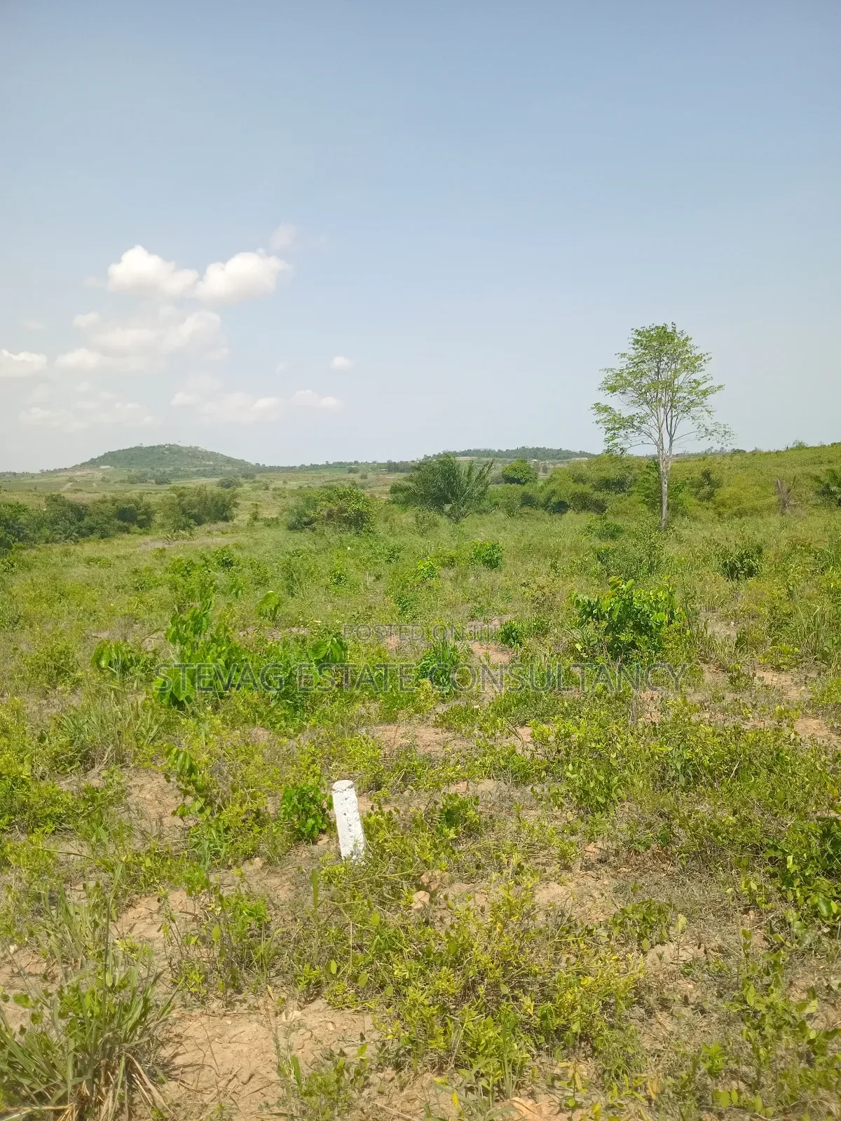 Alpha Properties Land for Sale at Kasoa Kweikrom