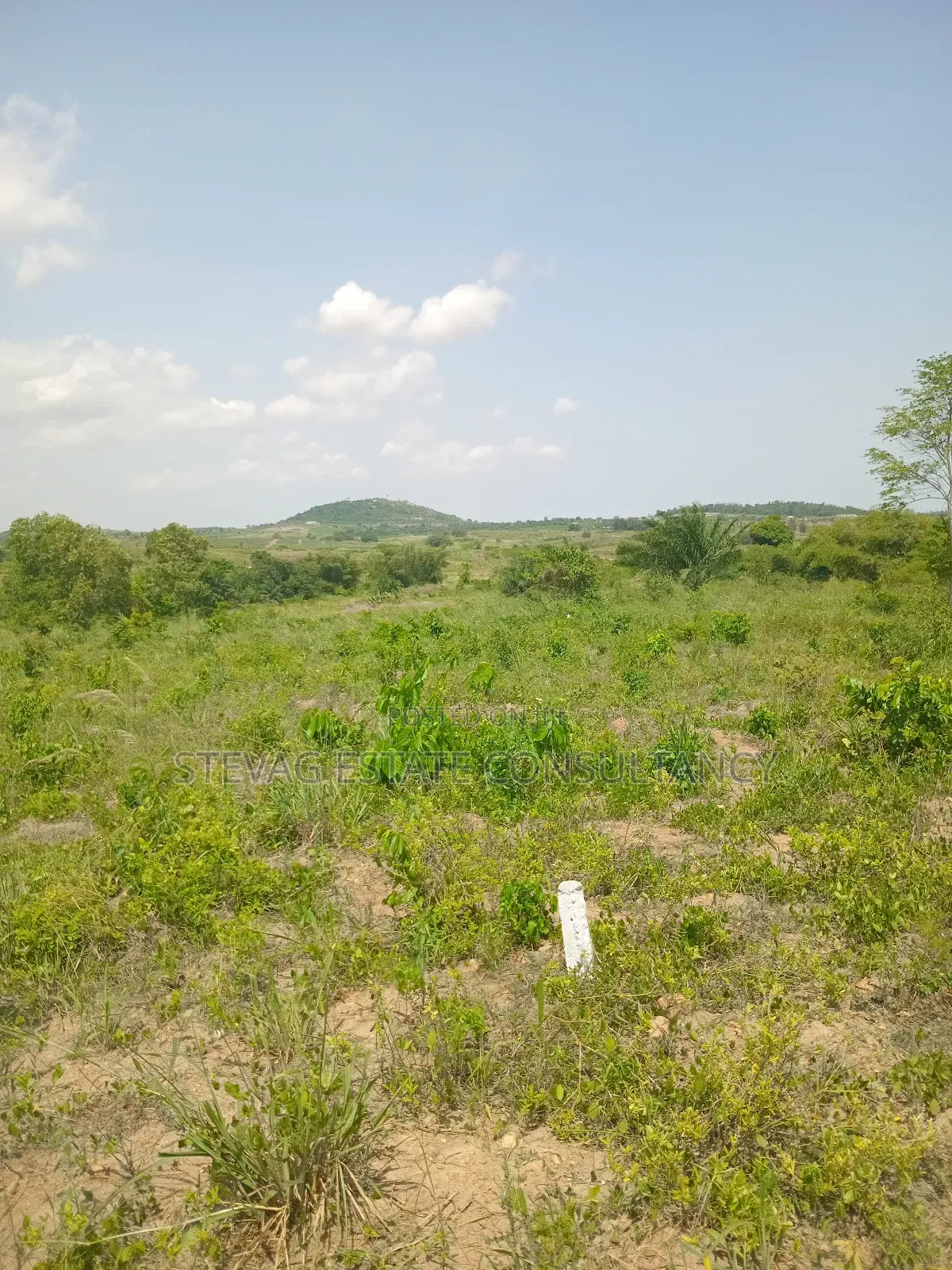 Alpha Properties Land for Sale at Kasoa Kweikrom