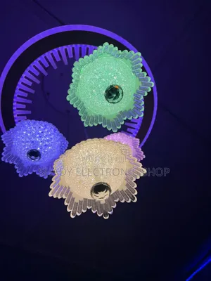 Quality Ring Light