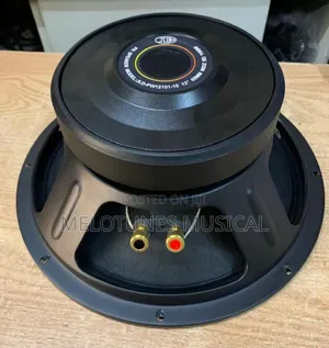 JLD-Pw12101-10 12inches 1100watt 12inches Naked Speakers