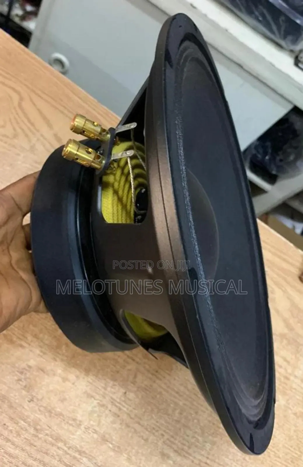 JLD-Pw12101-10 12inches 1100watt 12inches Naked Speakers