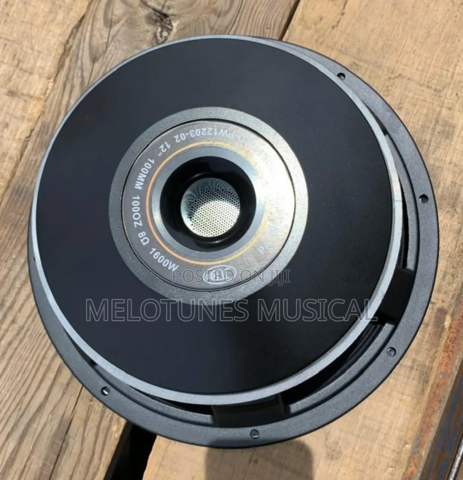 JLD-Pw12203-02 12inches 1600watt Naked Speakers