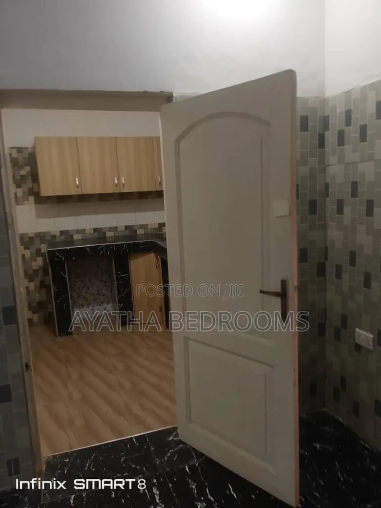 1bdrm Apartment in Ayathar Bedroom, Tseaddo for rent