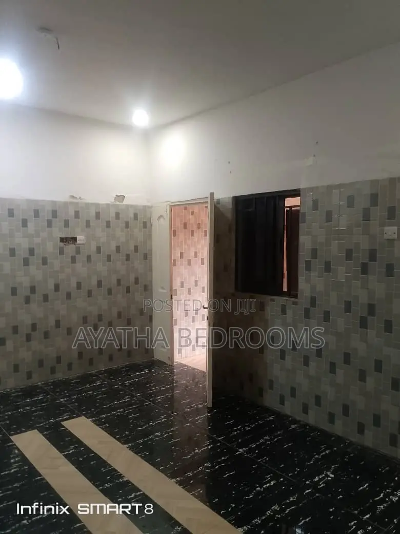 1bdrm Apartment in Ayathar Bedroom, Tseaddo for rent