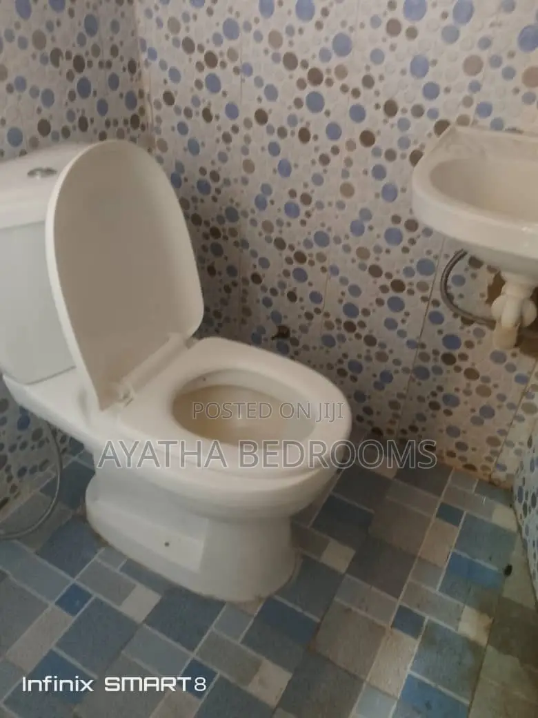 1bdrm Apartment in Ayathar Bedroom, Tseaddo for rent