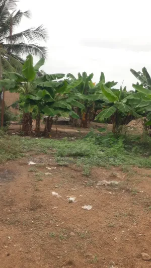 Residential Land for Sale at Swedru