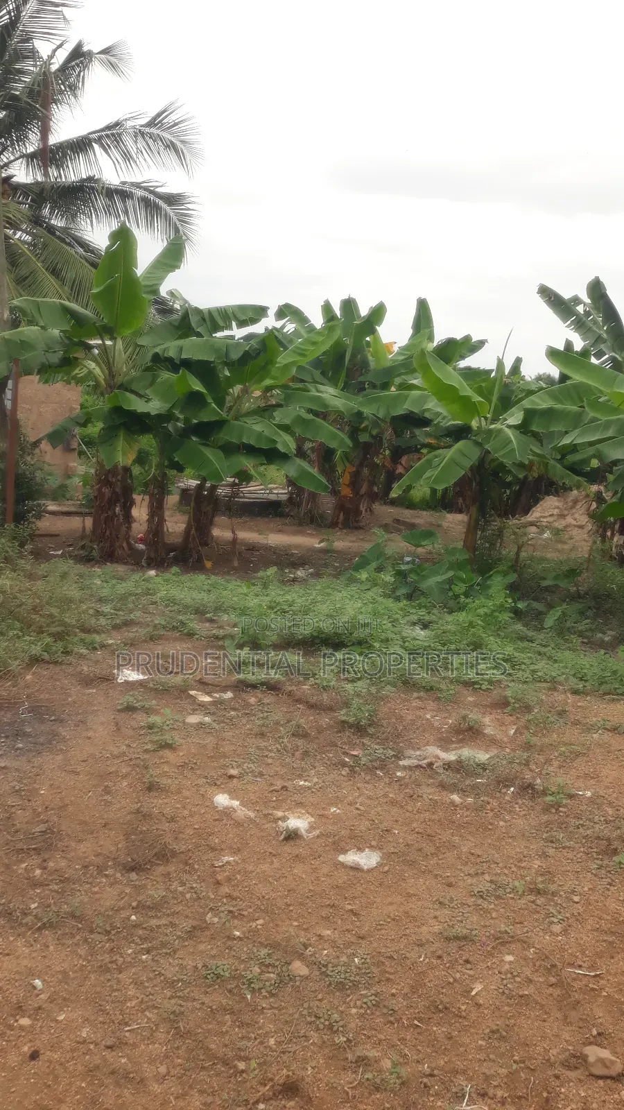 Residential Land for Sale at Swedru