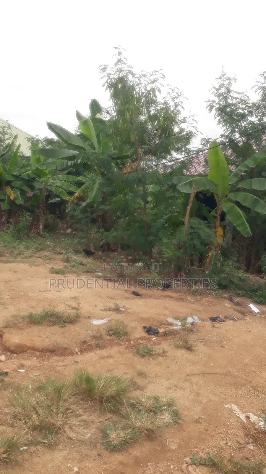 Residential Land for Sale at Swedru