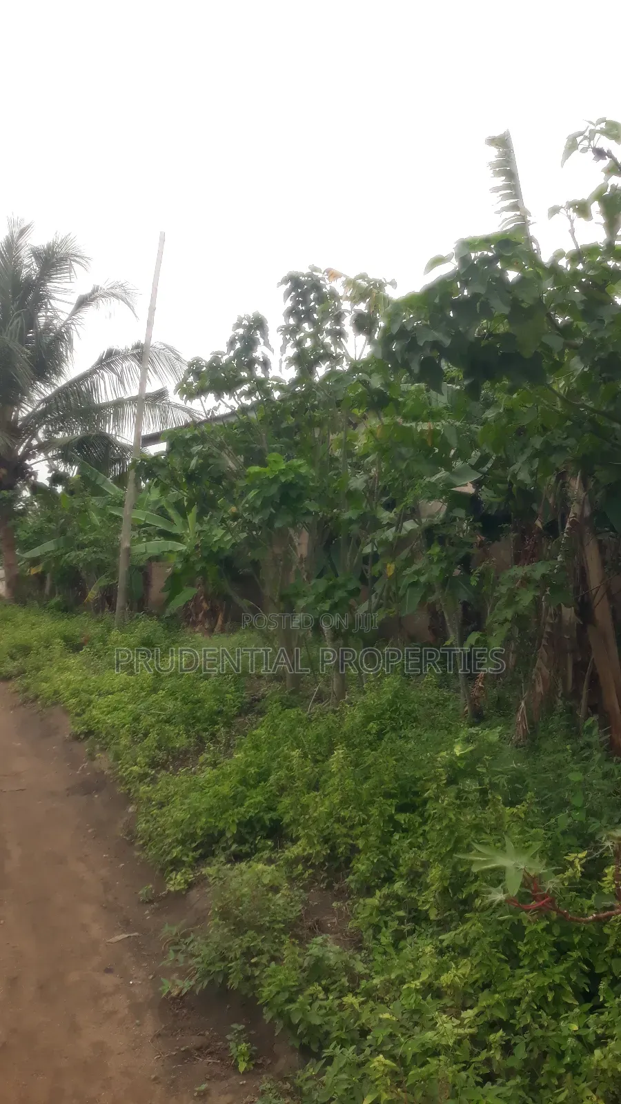 Residential Land for Sale at Swedru