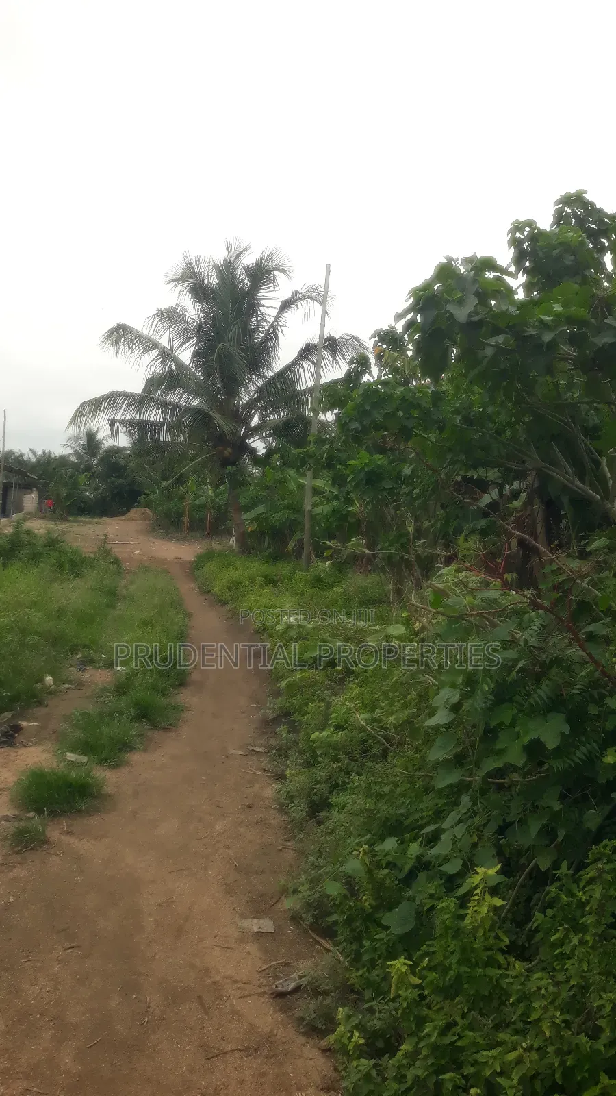 Residential Land for Sale at Swedru