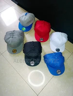 Original Baseball Caps,Beanies,Trucker Caps,Hats.