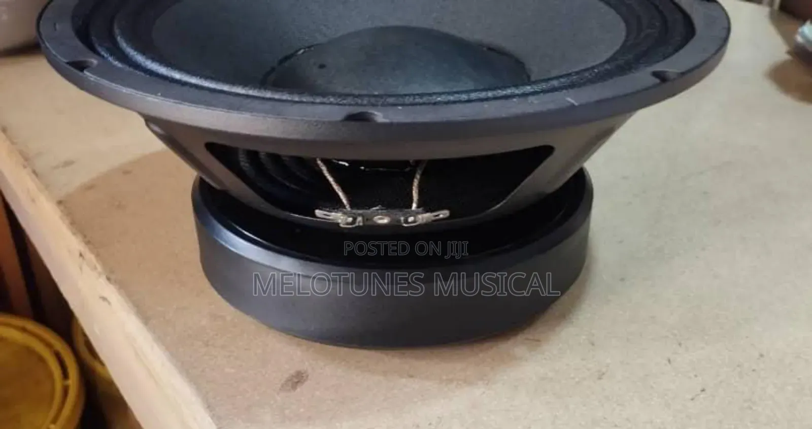 JLD Pw10101-01 1000watt 10inches Pair of Naked Speakers
