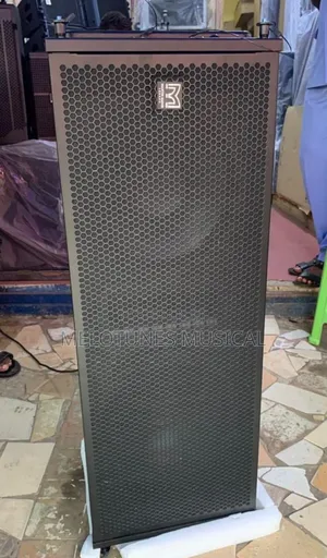 Martins Audio 12inches Line Array Speaker