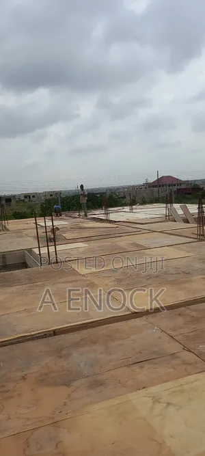 Professional Carpenter With Plywood, Board Etc