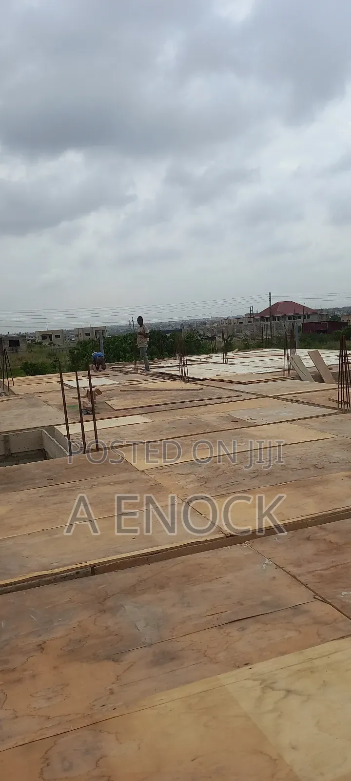 Professional Carpenter With Plywood, Board Etc
