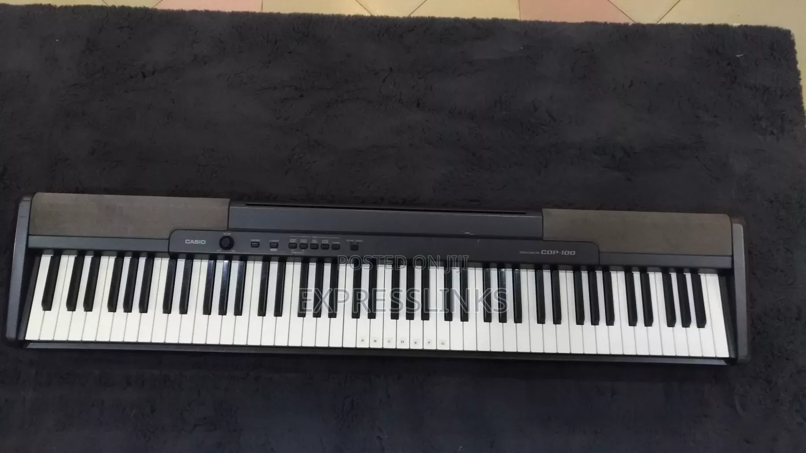 Casio Cop-100 Digital Piano 88keys