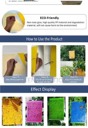 Sticky Fruit Flies Trap/Glueboard