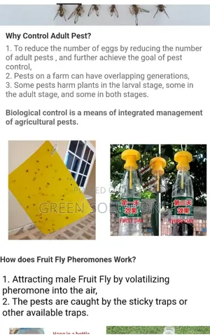 Fruit Flies Attractants (Pheromones)