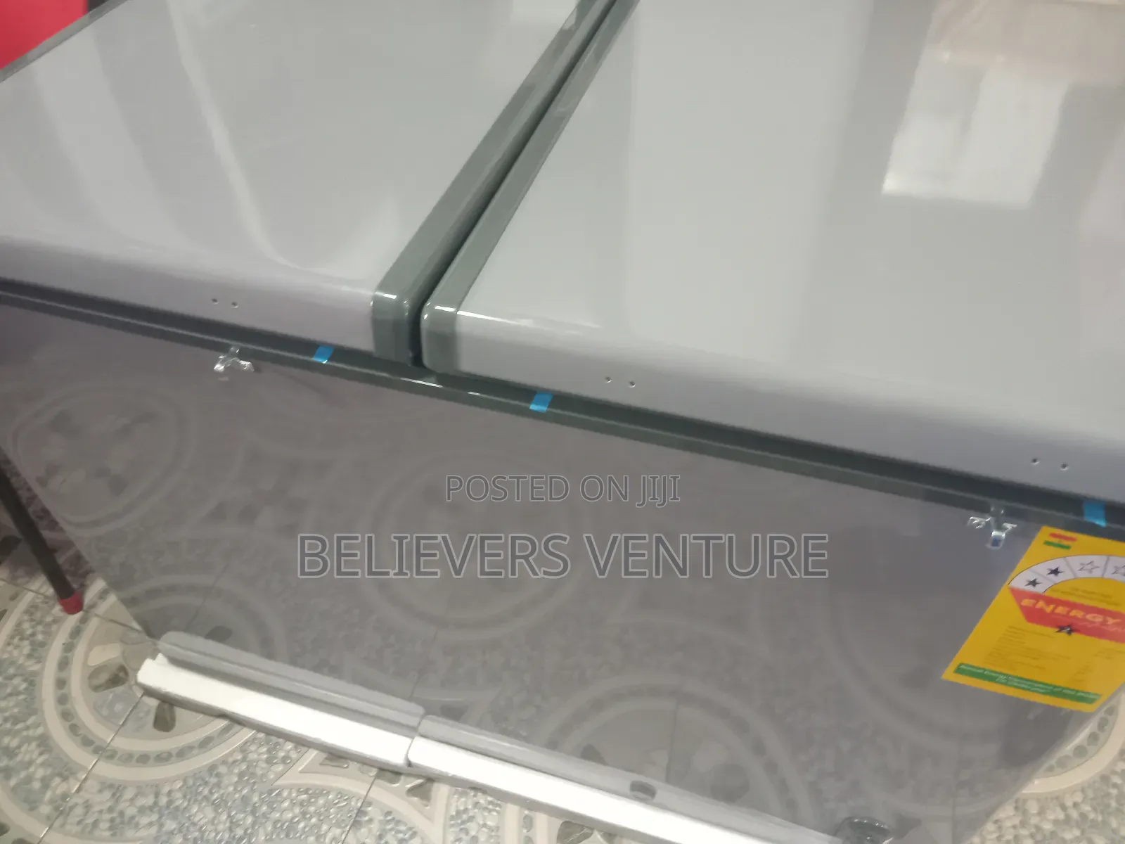 Super Silent 2 Door Goldstar Chest Freezing Fridge 344l