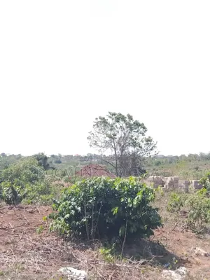 Commercia Land at Cucg New Site Fiapre