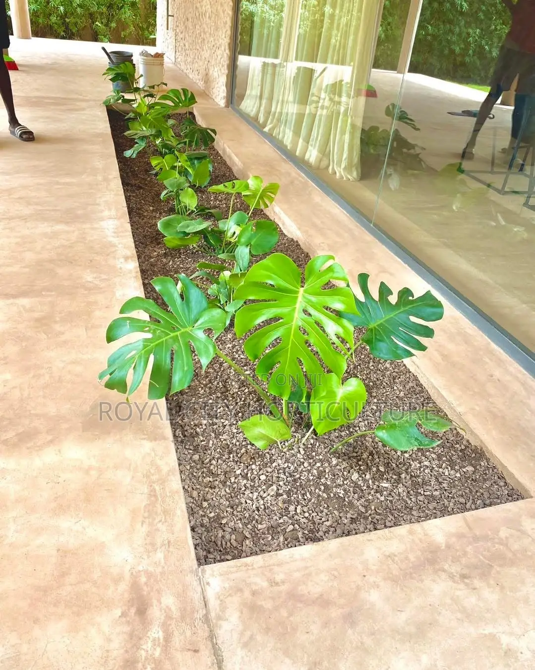 Landscaping and Garden Services