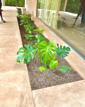 Landscaping and Garden Services