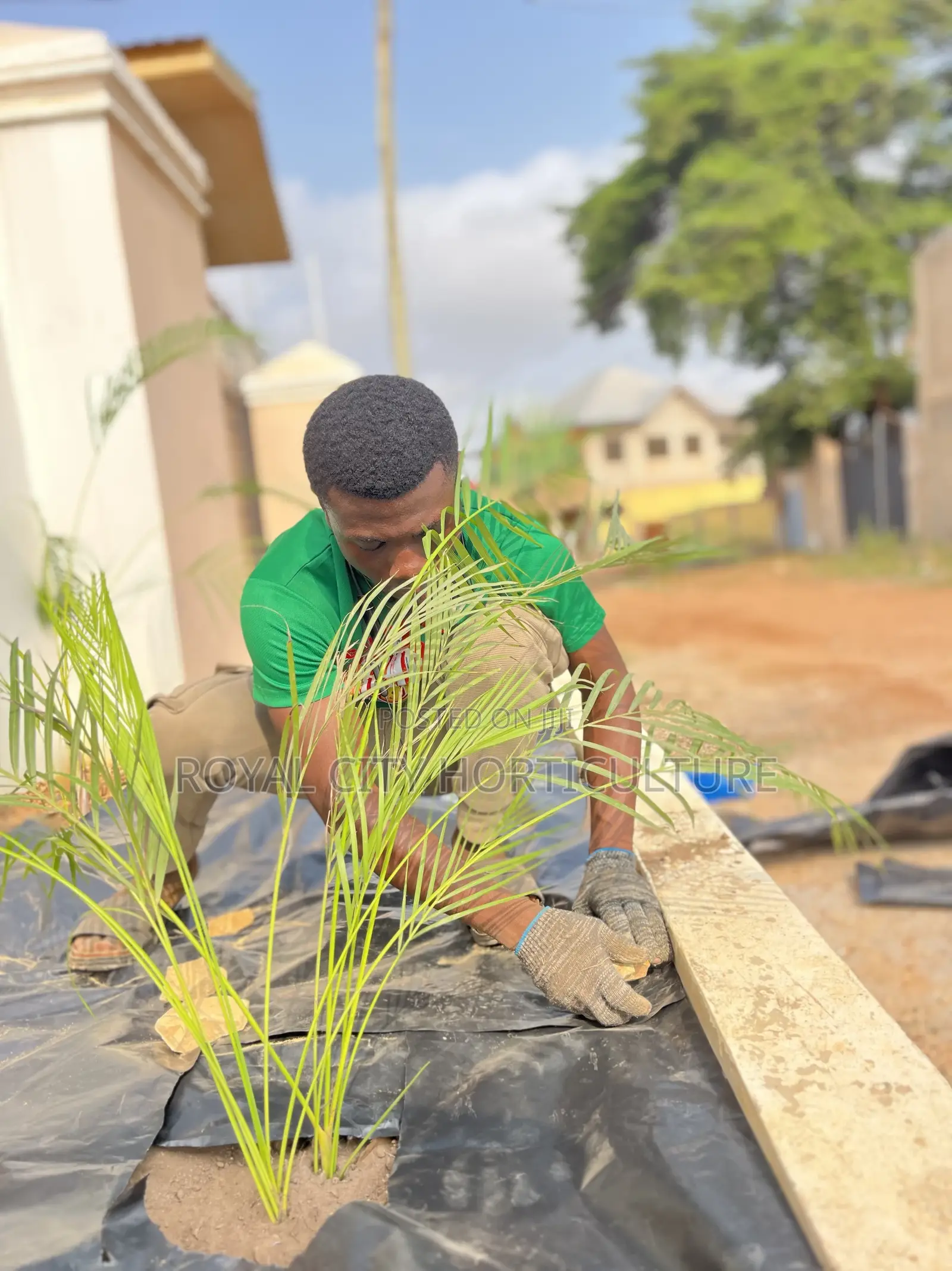 Landscaping and Garden Services