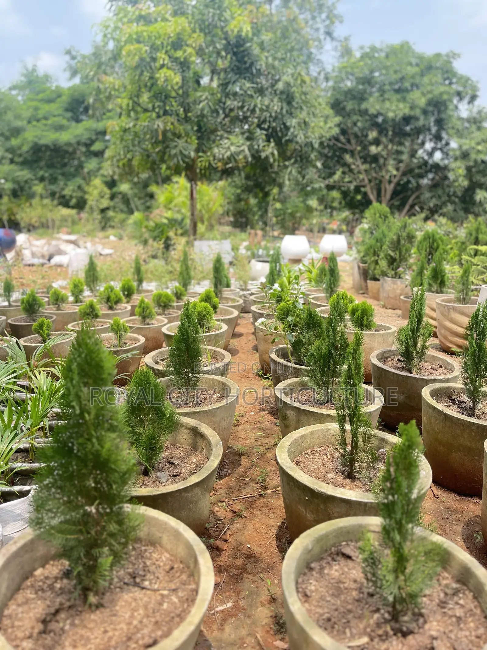 Landscaping and Garden Services