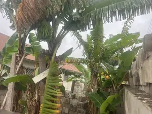 Land for Sale at Achimota