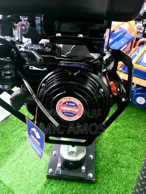 79kg 4.8kw(6.5hp) Tamping Rammer / Jumping Jack - Wta1a80