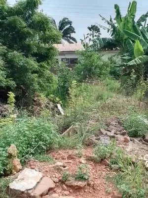 Bare Land for Sale at Tesano