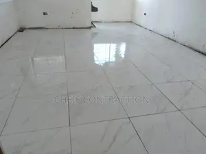 Professional Tiler
