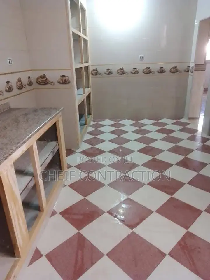 Professional Tiler