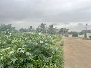 2plots of Land for Sale at Achimota