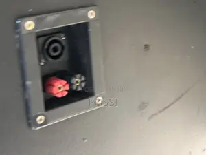Pair of 12 Inches Bass Speaker With Mid