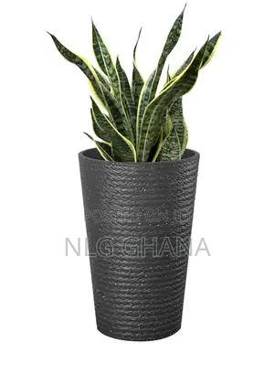 Modern Plant Pot Plastic Vase - Dark Grey. Ghx5452