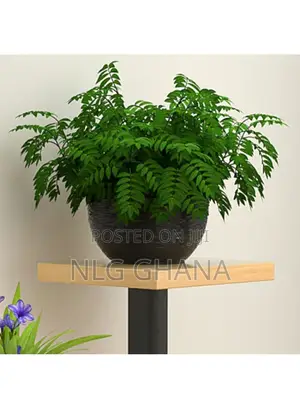 4-Tier Square Metal Flower Rack, Window Sill Plant. Tvx25263