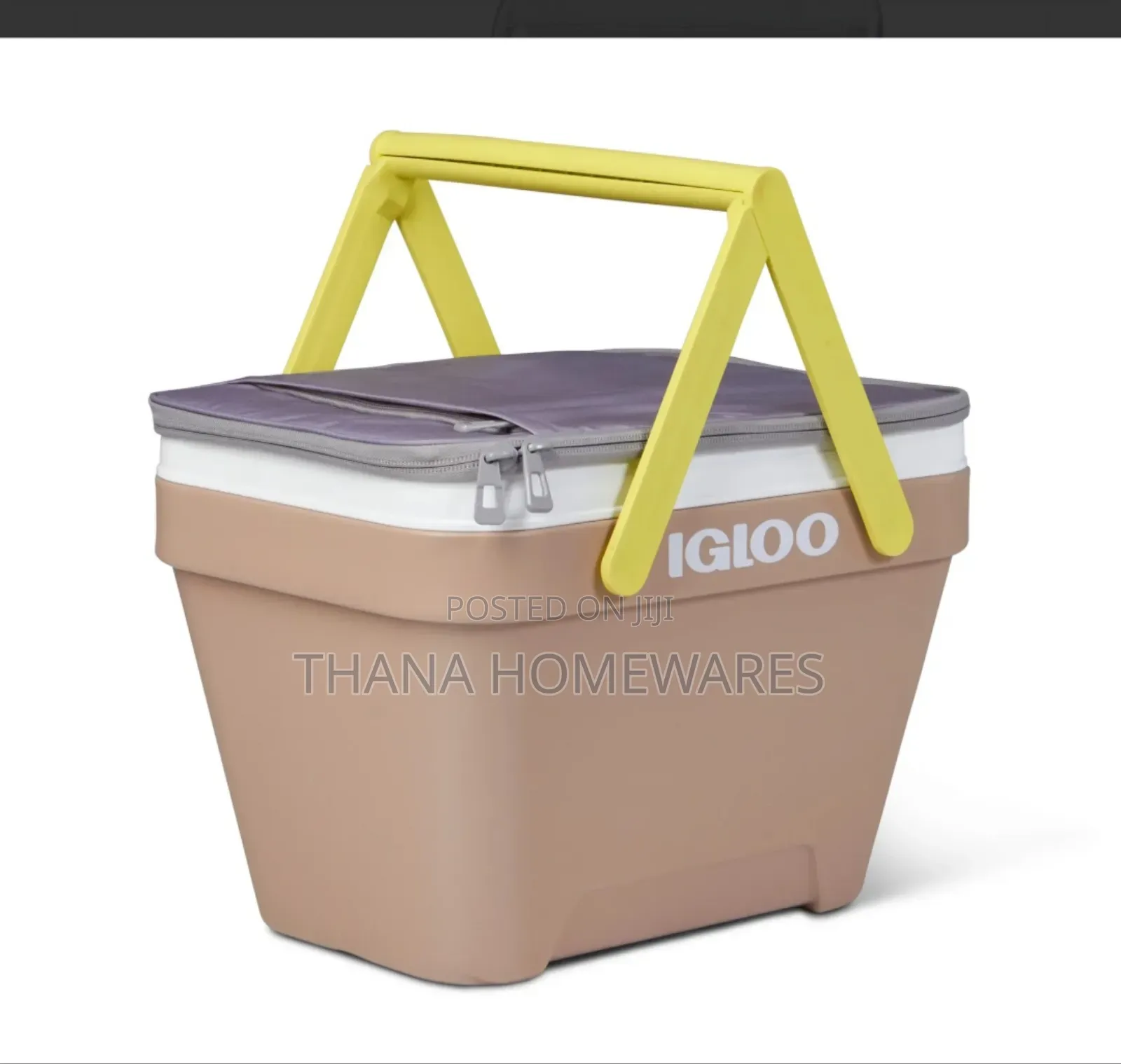 Igloo Basket Ice Chest