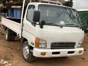 Hyundai Might Truck