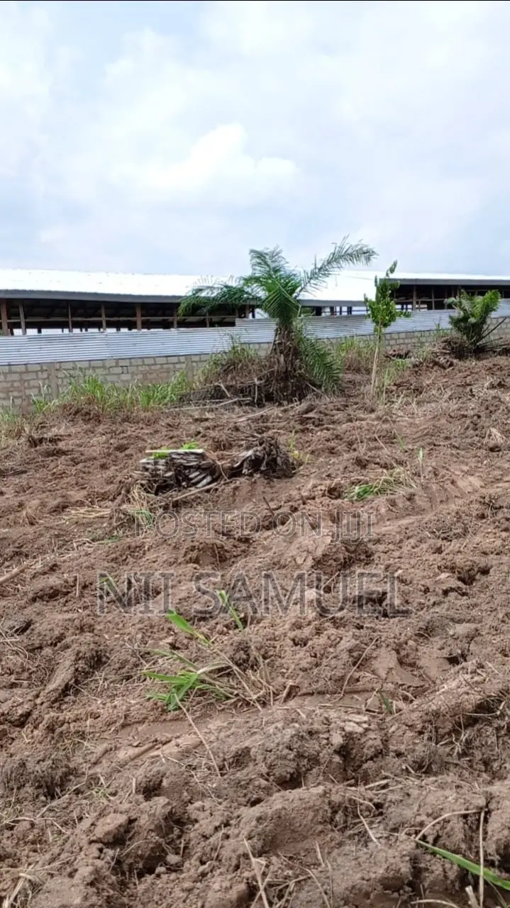 A Newly Built Pig Farm for Sale at Adeiso