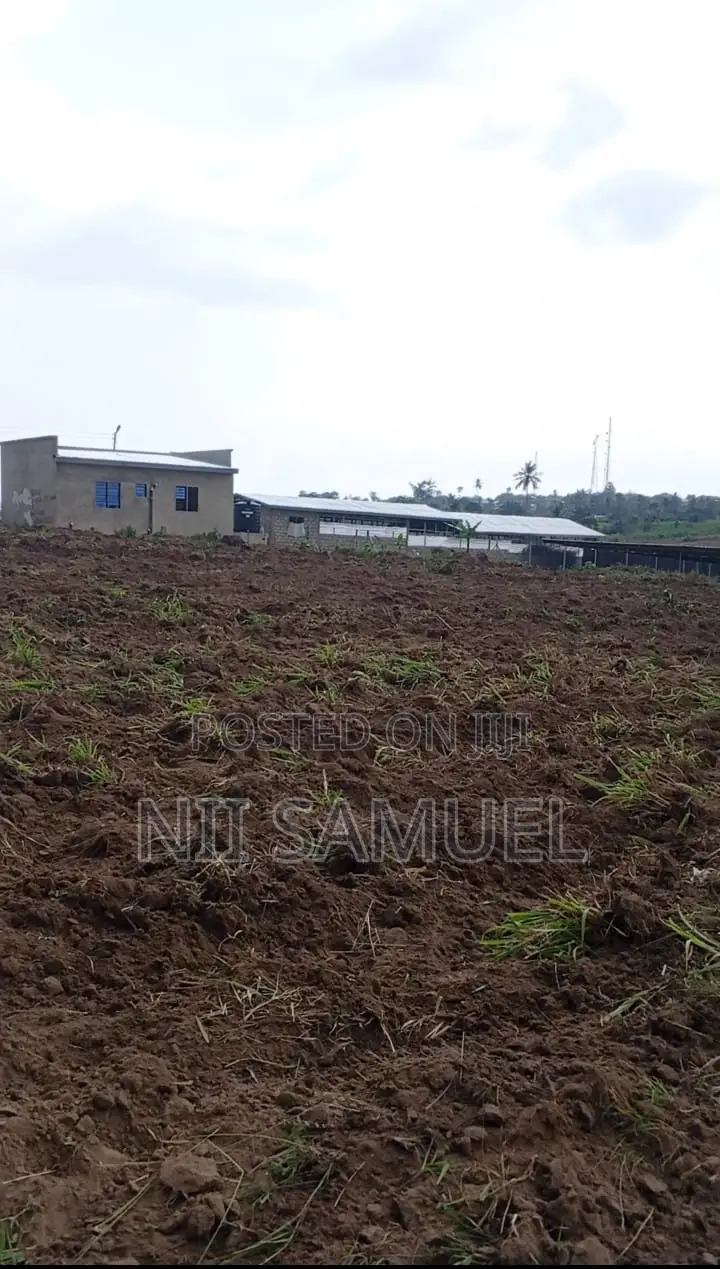 A Newly Built Pig Farm for Sale at Adeiso