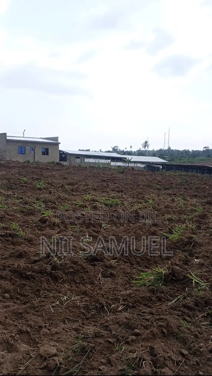 A Newly Built Pig Farm for Sale at Adeiso