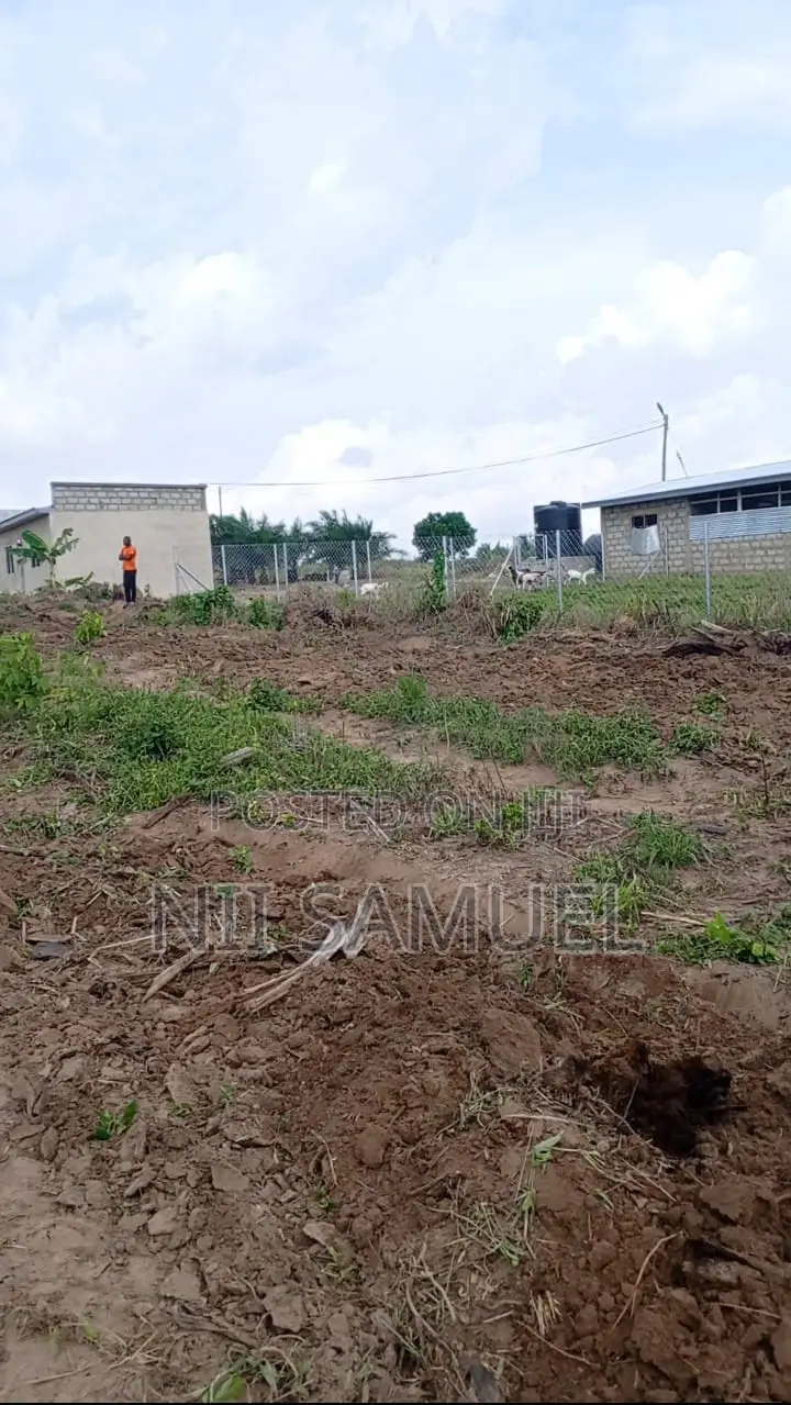 A Newly Built Pig Farm for Sale at Adeiso