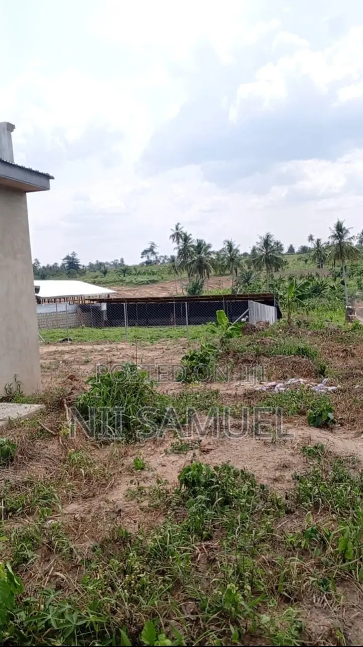 A Newly Built Pig Farm for Sale at Adeiso