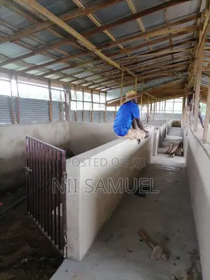 A Newly Built Pig Farm for Sale at Adeiso
