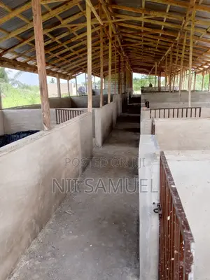A Newly Built Pig Farm for Sale at Adeiso