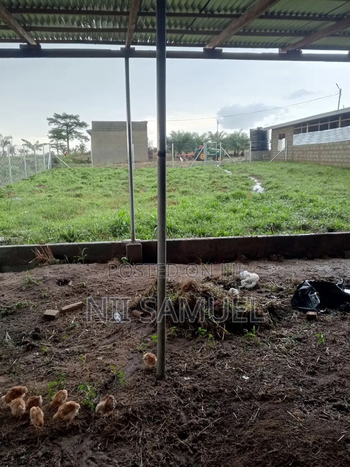 A Newly Built Pig Farm for Sale at Adeiso