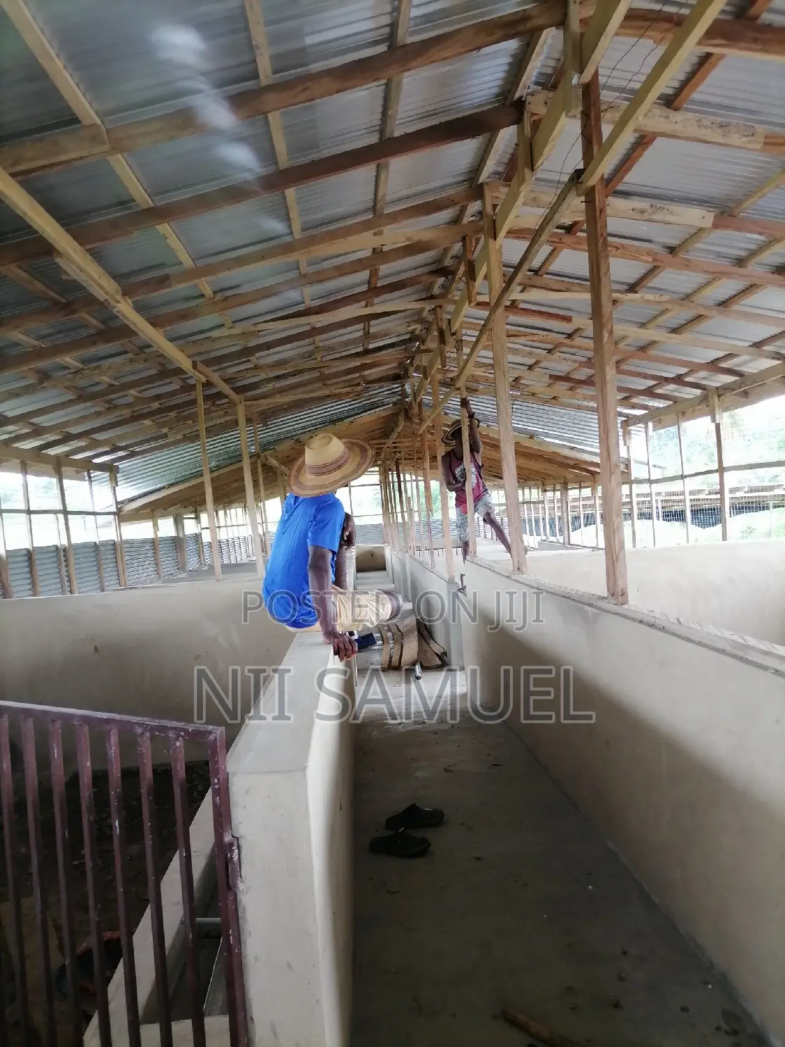 A Newly Built Pig Farm for Sale at Adeiso