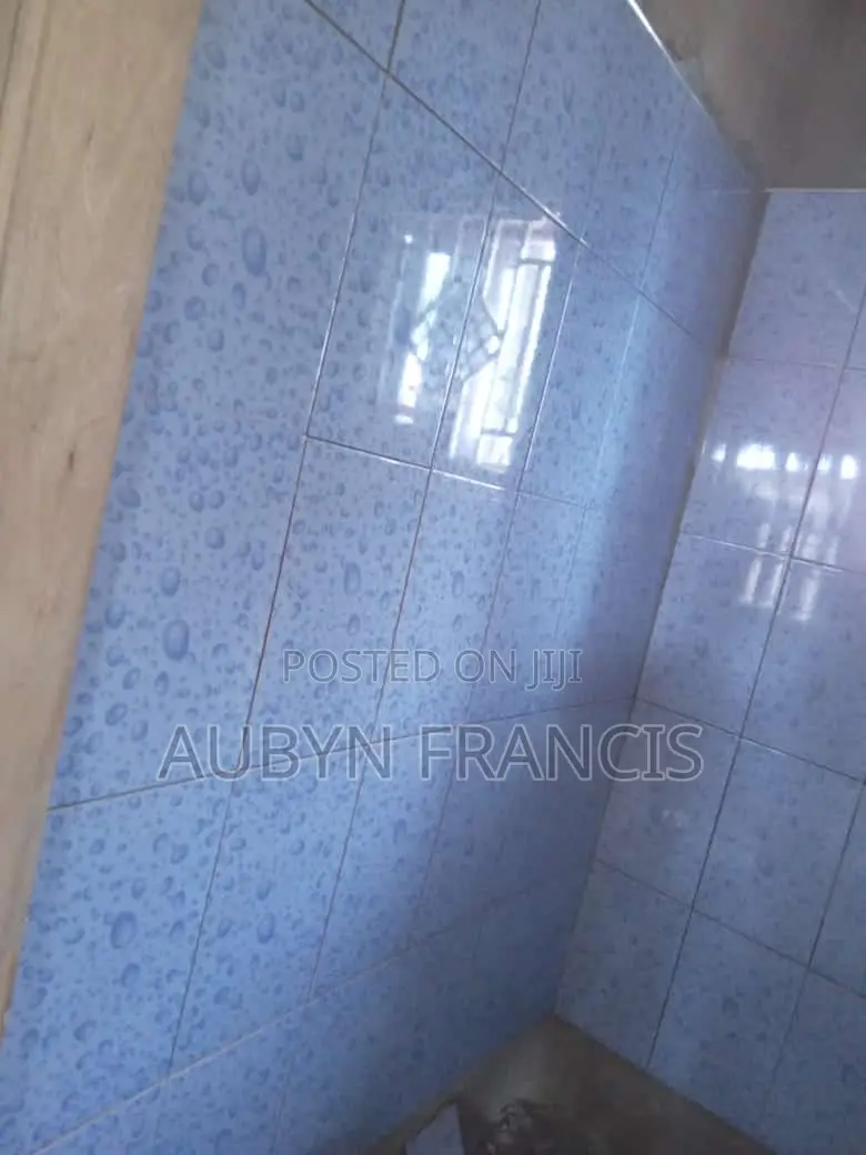 Professional Tiler and PVC Tile Installation