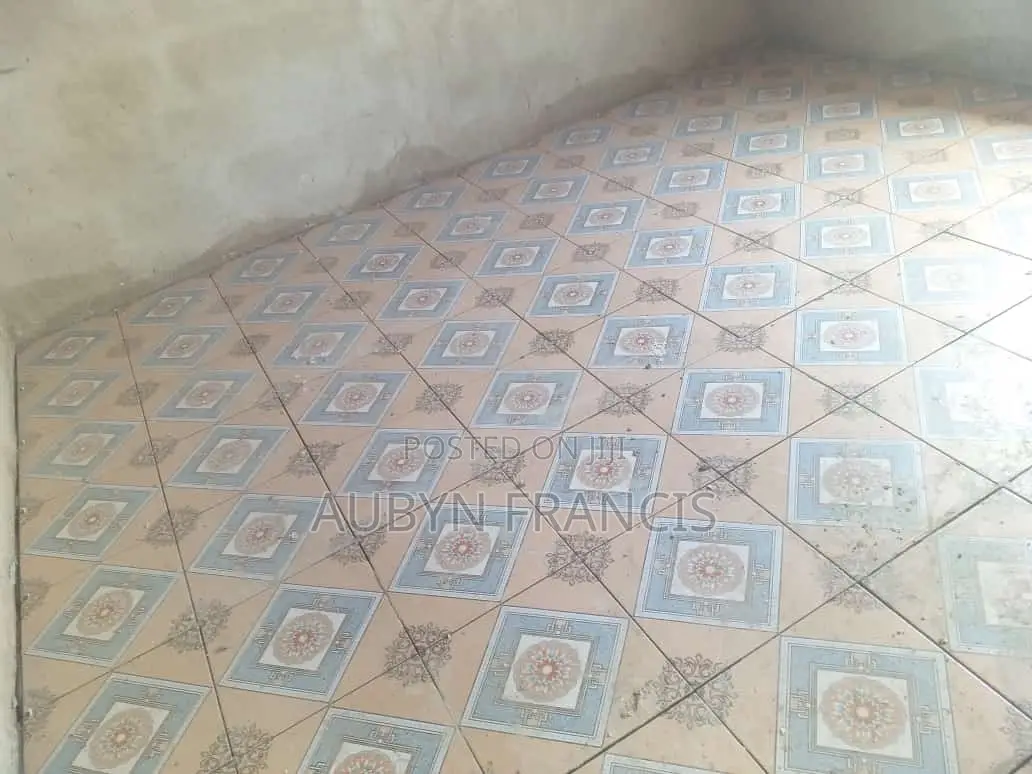 Professional Tiler and PVC Tile Installation